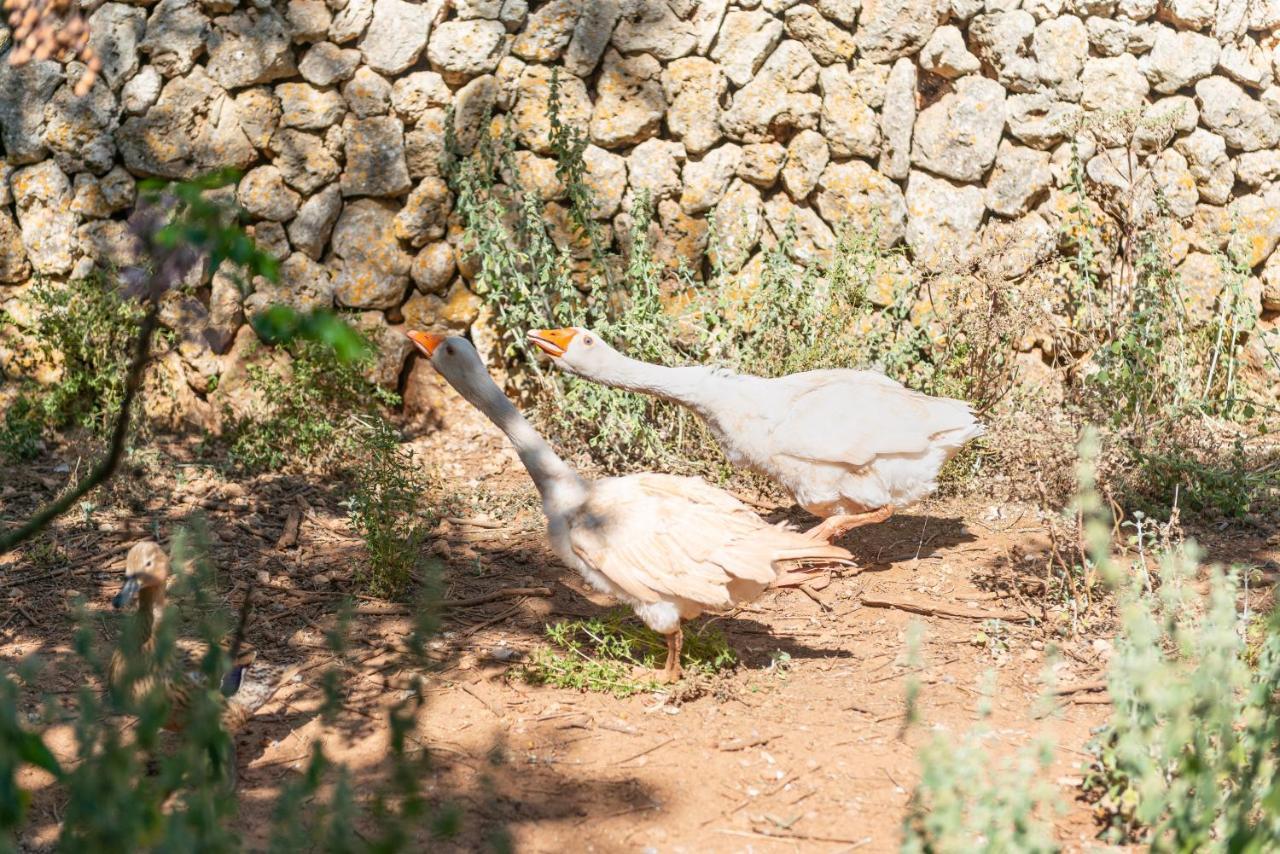 Sunset Private Eco-Villa Can Vey Inca  Εξωτερικό φωτογραφία
